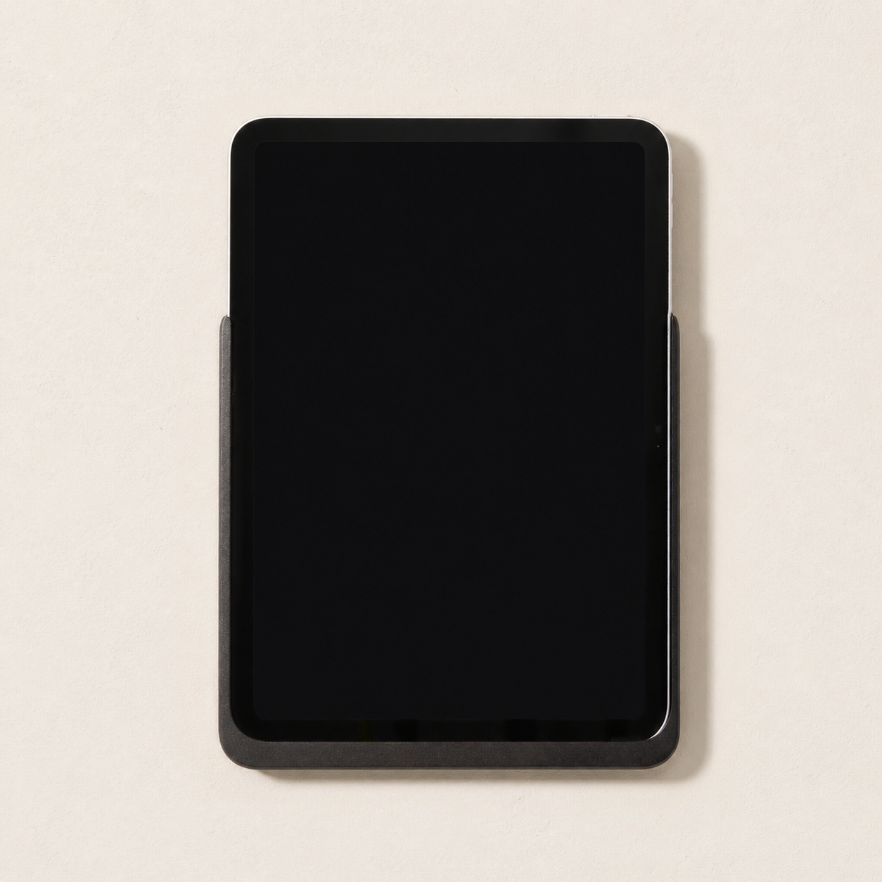 Displine - Dame Wall Home 2.0