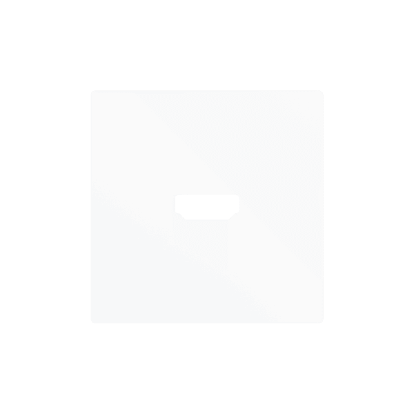 Zennio - ZS55 - Cache pour Connecteur HDMI