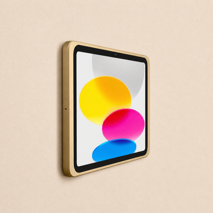 Displine - Dame Wall 2.0