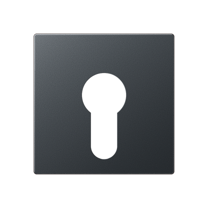 CJC Systems - Plaque de recouvrement 2 leviers KNX NINA