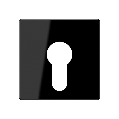 CJC Systems - Plaque de recouvrement 2 leviers KNX NINA