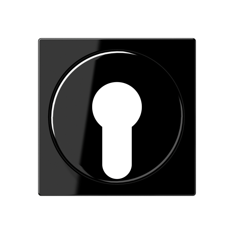 CJC Systems - Plaque de recouvrement 2 modules