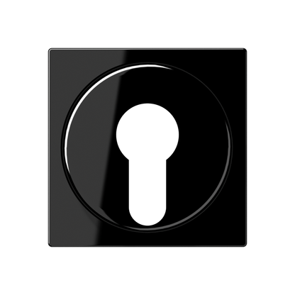 CJC Systems - Plaque de recouvrement 2 modules