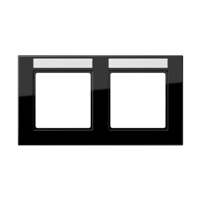 CJC Systems - Plaque de recouvrement 2 modules ent