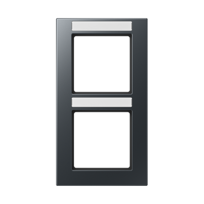 CJC Systems - Plaque de recouvrement 2 modules ent