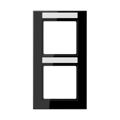 CJC Systems - Plaque de recouvrement 2 modules ent