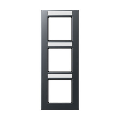 CJC Systems - Plaque de recouvrement 2 modules ent