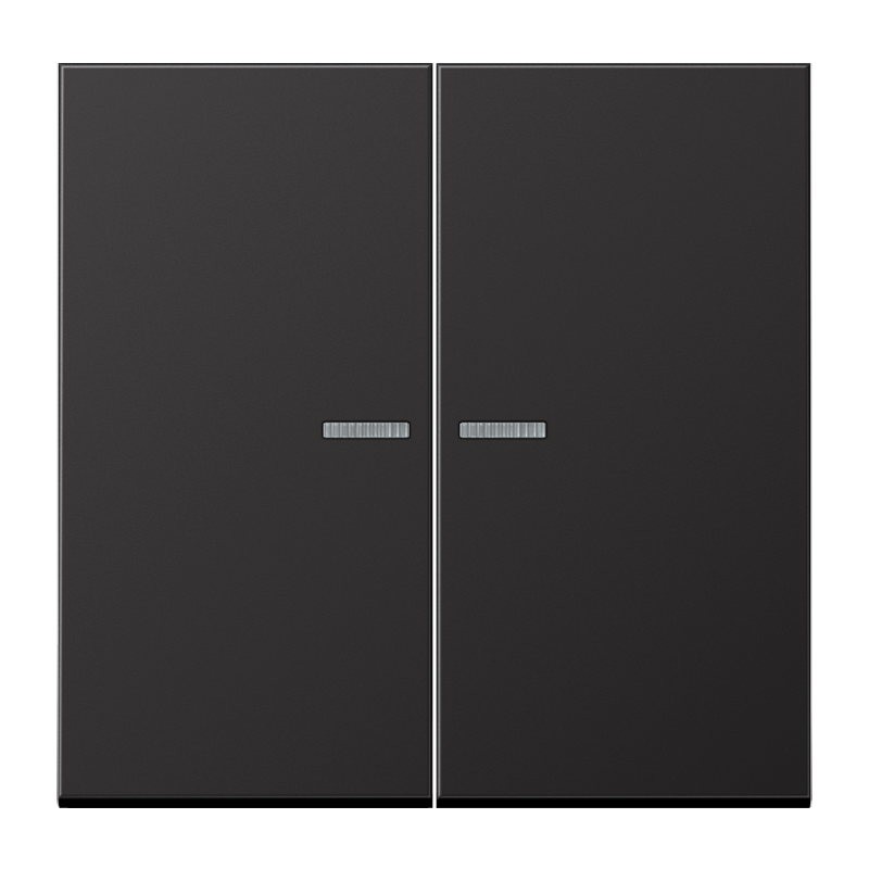 CJC Systems - Plaque version 1 levier double bouton poussoir