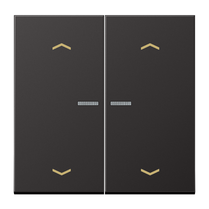CJC Systems - Plaque version 1 levier double bouton poussoir
