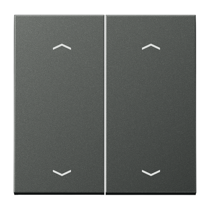 CJC Systems - Plaque version 1 levier double bouton poussoir