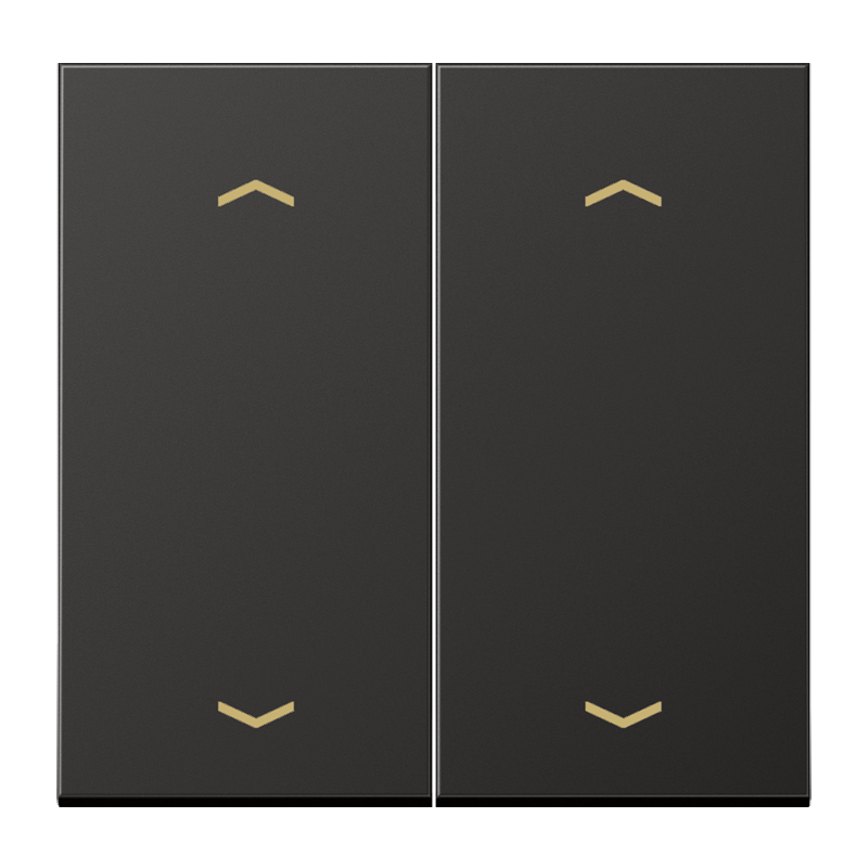 CJC Systems - Plaque version 1 levier double bouton poussoir