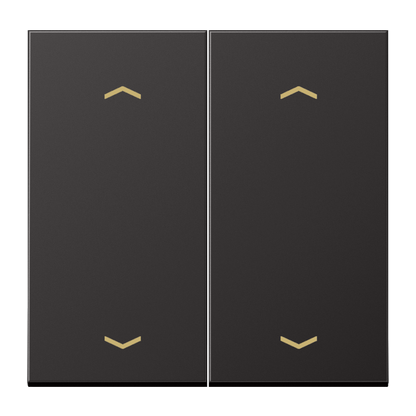 CJC Systems - Plaque version 1 levier double bouton poussoir