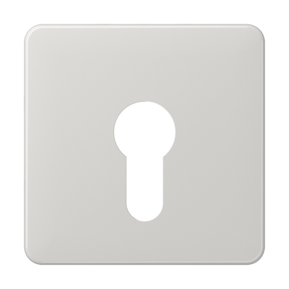 CJC Systems - Plaque version 4 leviers double bouton poussoir