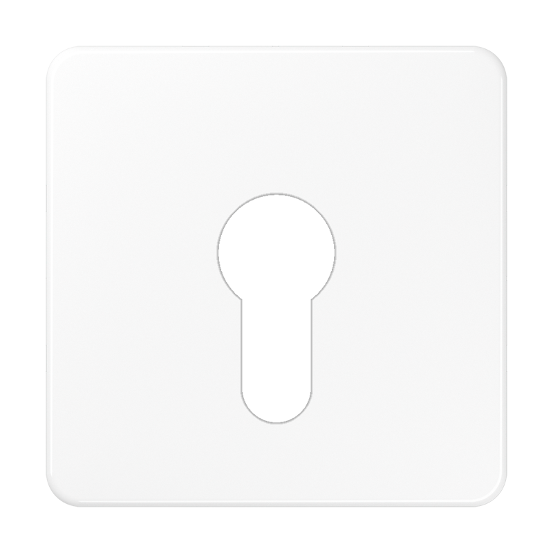CJC Systems - Plaque version 4 leviers double bouton poussoir