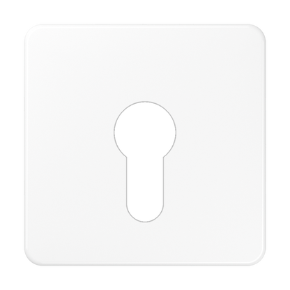 CJC Systems - Plaque version 4 leviers double bouton poussoir