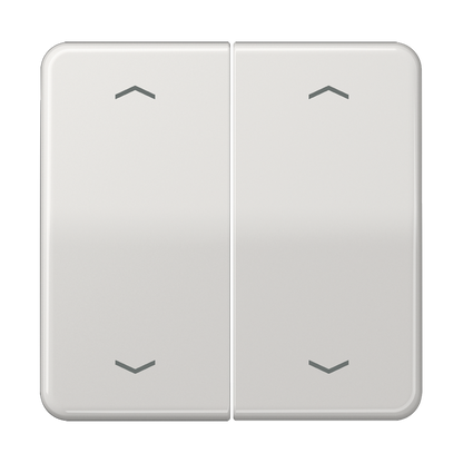 CJC Systems - Plaque version FLAT