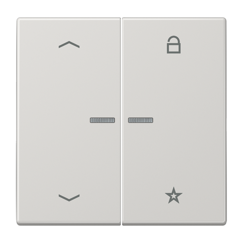 CJC Systems - Plaque version FLAT 2-4 boutons poussoir KNX