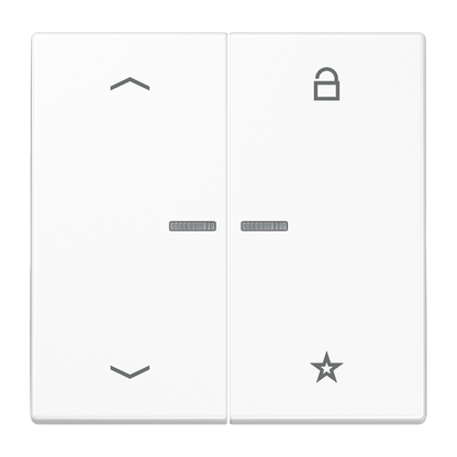 CJC Systems - Plaque version FLAT 2-4 boutons poussoir KNX