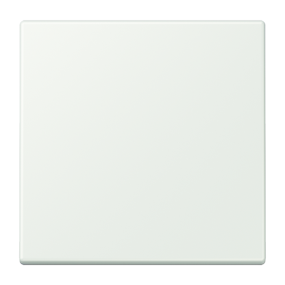 CJC Systems - Plaque version FLAT 2 boutons poussoir KNX