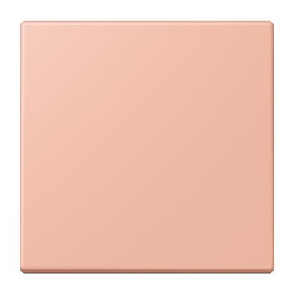 CJC Systems - Plaque version FLAT 2 voies KNX