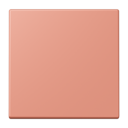 CJC Systems - Plaque version FLAT 2 voies KNX
