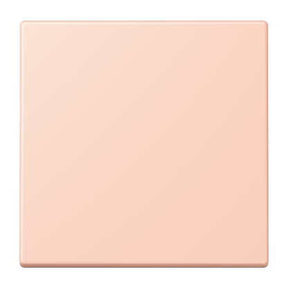 CJC Systems - Plaque version FLAT 2 voies KNX