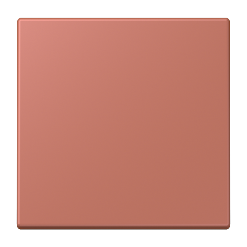 CJC Systems - Plaque version FLAT 2 voies KNX