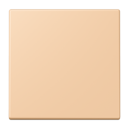 CJC Systems - Plaque version FLAT 2 voies KNX