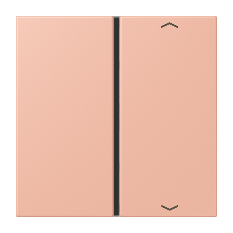 CJC Systems - Plaque version FLATL. CARRE 2 modules ent