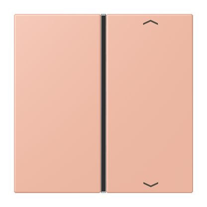 CJC Systems - Plaque version FLATL. CARRE 2 modules ent
