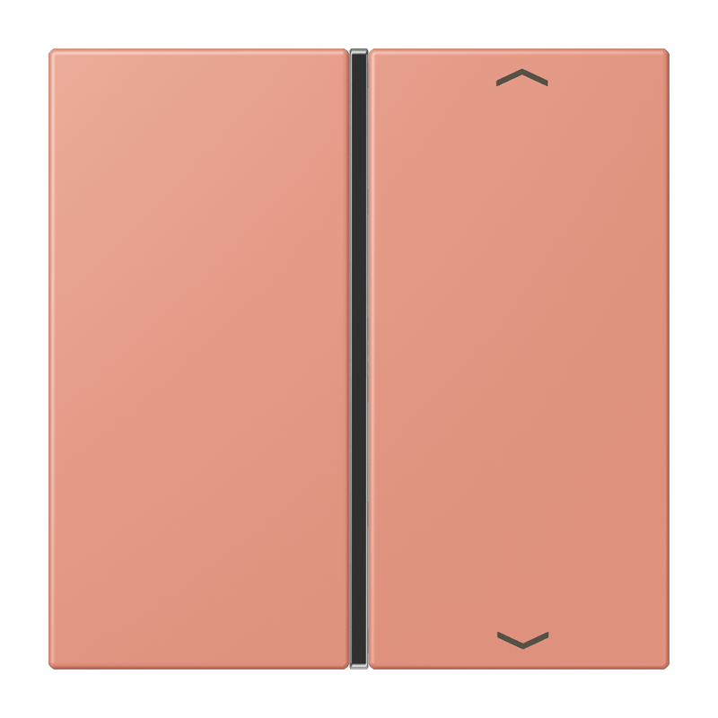 CJC Systems - Plaque version FLATL. CARRE 2 modules ent
