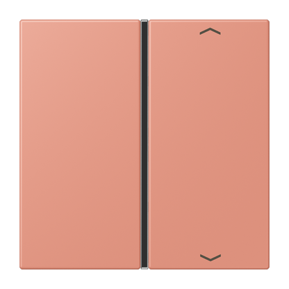 CJC Systems - Plaque version FLATL. CARRE 2 modules ent