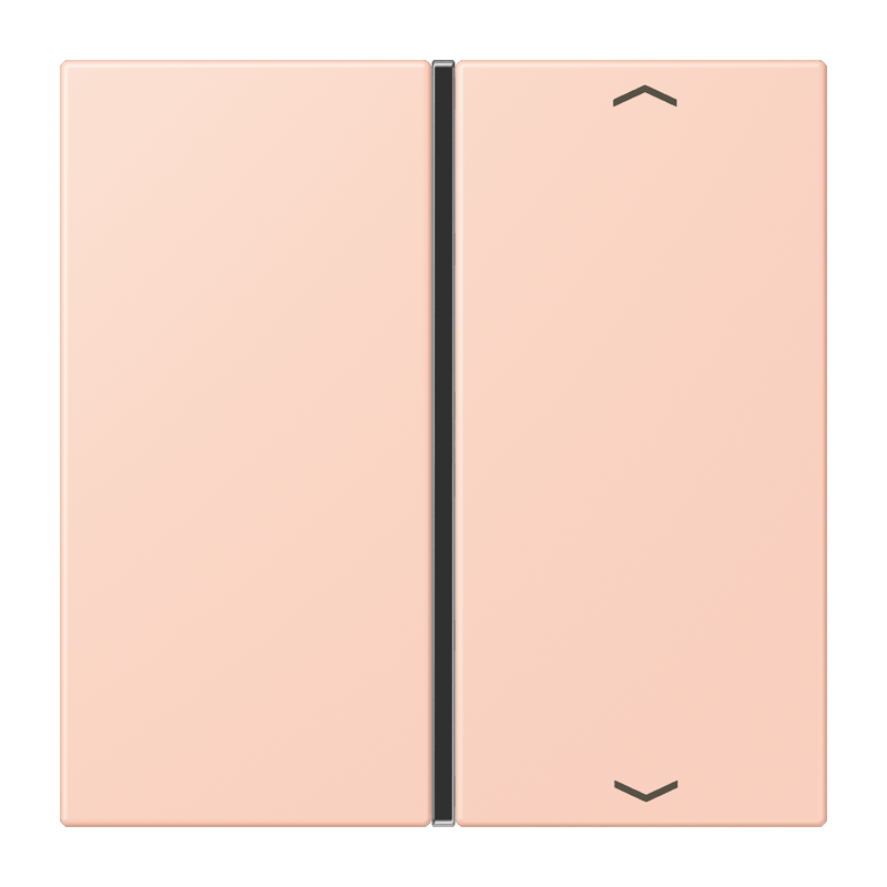 CJC Systems - Plaque version FLATL. CARRE 2 modules ent