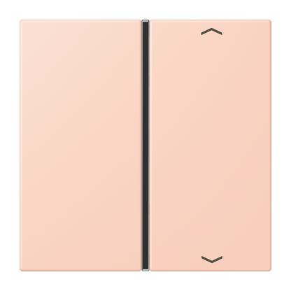 CJC Systems - Plaque version FLATL. CARRE 2 modules ent