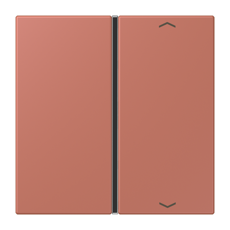 CJC Systems - Plaque version FLATL. CARRE 2 modules ent