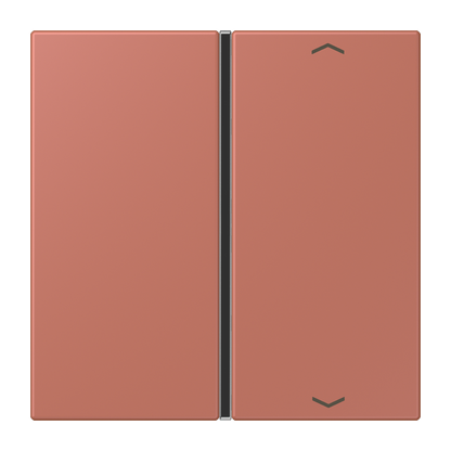 CJC Systems - Plaque version FLATL. CARRE 2 modules ent