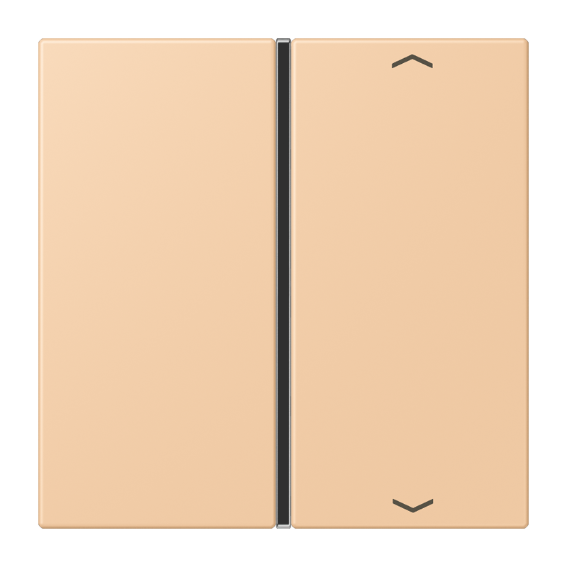 CJC Systems - Plaque version FLATL. CARRE 2 modules ent
