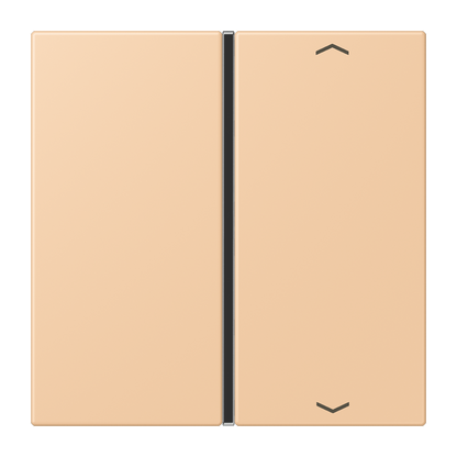 CJC Systems - Plaque version FLATL. CARRE 2 modules ent