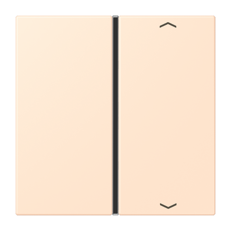CJC Systems - Plaque version FLATL. CARRE 2 modules ent