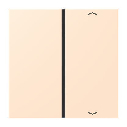CJC Systems - Plaque version FLATL. CARRE 2 modules ent