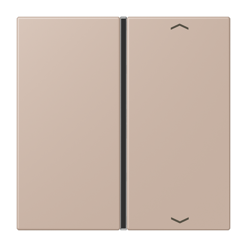 CJC Systems - Plaque version FLATL. CARRE 2 modules ent