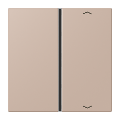 CJC Systems - Plaque version FLATL. CARRE 2 modules ent