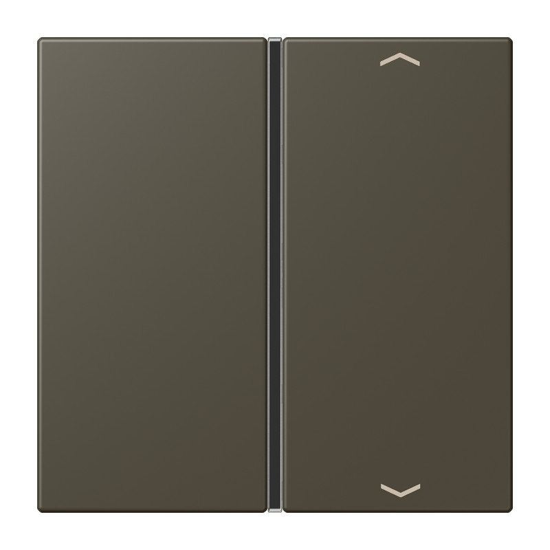 CJC Systems - Plaque version FLATL. CARRE 2 modules ent