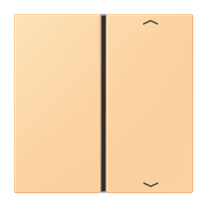 CJC Systems - Plaque version FLATL. CARRE 6 modules ent