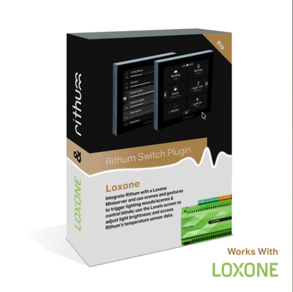 Rithum -  Plugin Premium pour Rithum Switch & Switch Pro