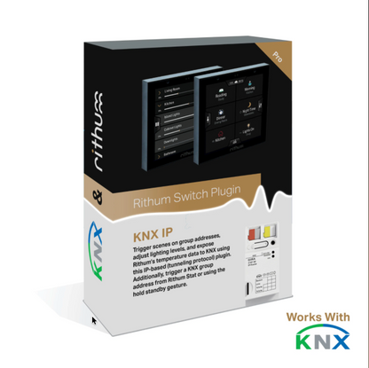 Rithum -  Plugin Pro pour Rithum Switch Pro
