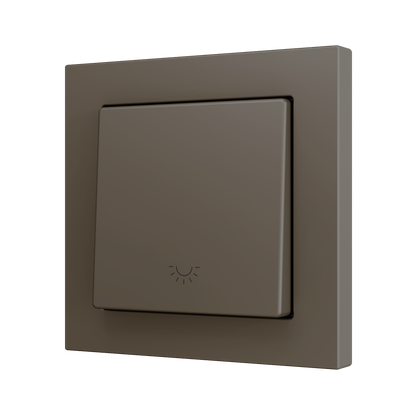ZS551PB1LM