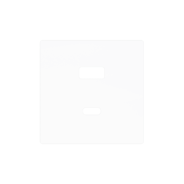 Zennio - ZS55 - Cache pour USB C+A