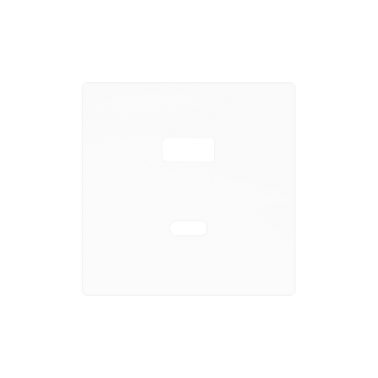 Zennio - ZS55 - Cache pour USB C+A