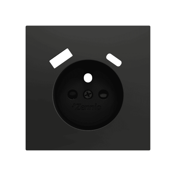 Zennio - ZS70 - Cache pour Prise FR avec USB C + A